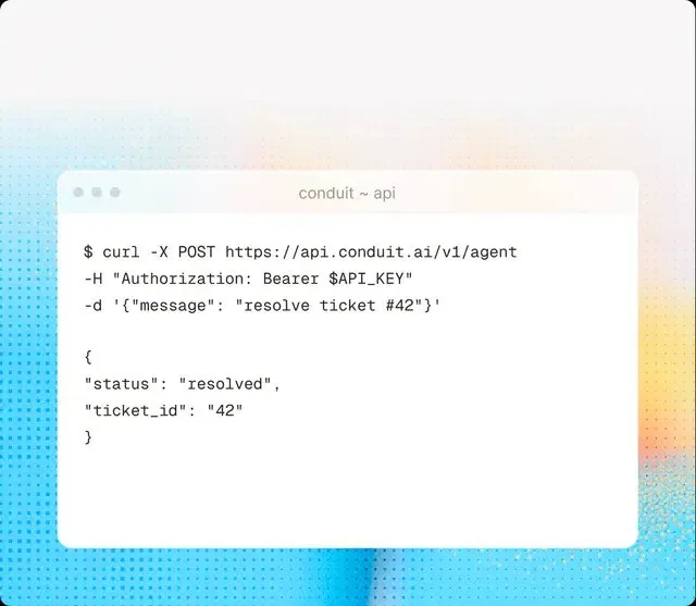 API & MCP